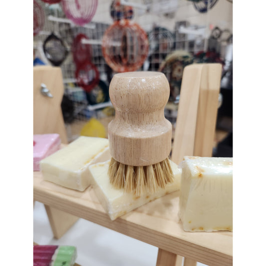 Dish brush